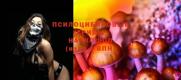 альфа пвп Медногорск