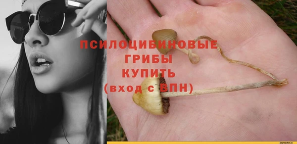 гидра Медвежьегорск