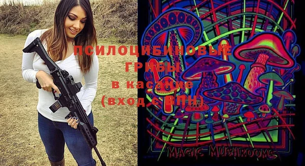 стаф Мегион