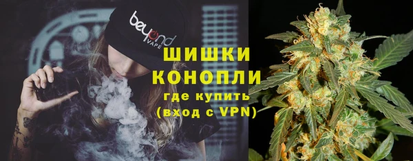 гидра Медвежьегорск