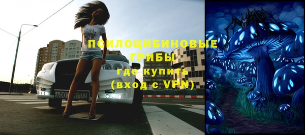 гидра Медвежьегорск
