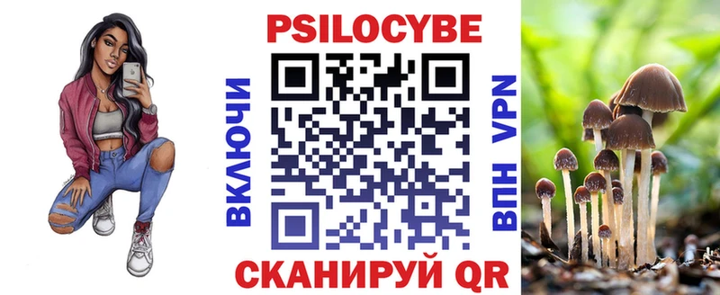 сколько стоит  Находка  Галлюциногенные грибы мицелий 