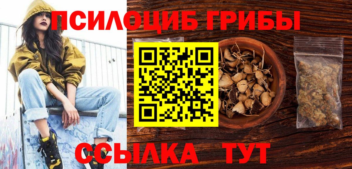 Псилоцибиновые грибы Psilocybe  Вход с VPN  где можно купить   Находка 