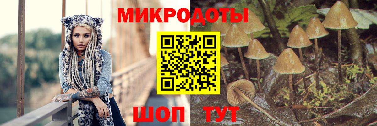 Галлюциногенные грибы мицелий Находка